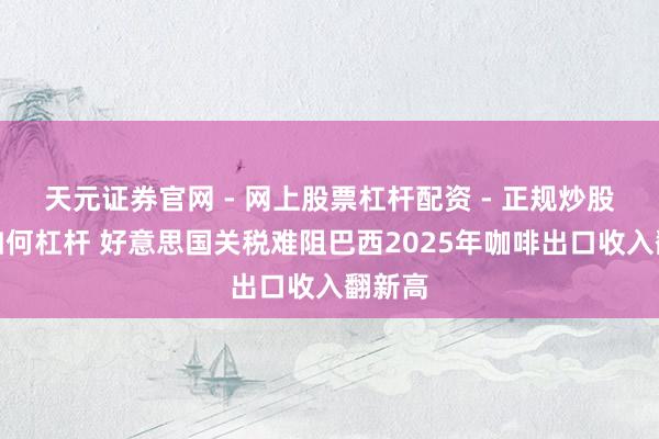 天元证券官网 - 网上股票杠杆配资 - 正规炒股配资如何杠杆 好意思国关税难阻巴西2025年咖啡出口收入翻新高