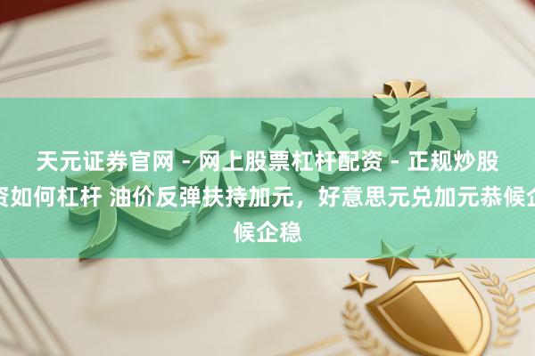 天元证券官网 - 网上股票杠杆配资 - 正规炒股配资如何杠杆 油价反弹扶持加元，好意思元兑加元恭候企稳