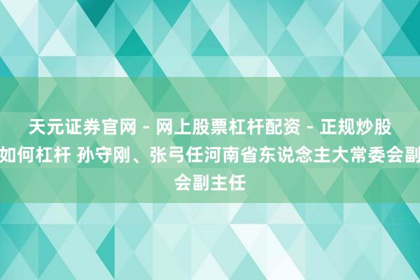 天元证券官网 - 网上股票杠杆配资 - 正规炒股配资如何杠杆 孙守刚、张弓任河南省东说念主大常委会副主任