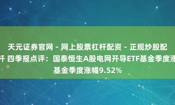 天元证券官网 - 网上股票杠杆配资 - 正规炒股配资如何杠杆 四季报点评：国泰恒生A股电网开导ETF基金季度涨幅9.52%