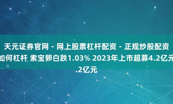 天元证券官网 - 网上股票杠杆配资 - 正规炒股配资如何杠杆 索宝卵白跌1.03% 2023年上市超募4.2亿元