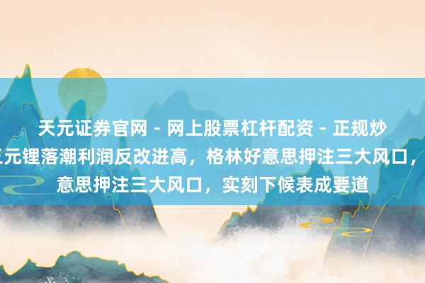 天元证券官网 - 网上股票杠杆配资 - 正规炒股配资如何杠杆 三元锂落潮利润反改进高，格林好意思押注三大风口，实刻下候表成要道