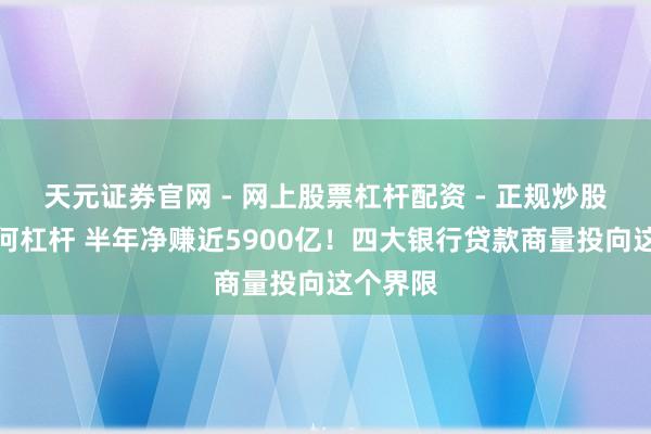 天元证券官网 - 网上股票杠杆配资 - 正规炒股配资如何杠杆 半年净赚近5900亿！四大银行贷款商量投向这个界限