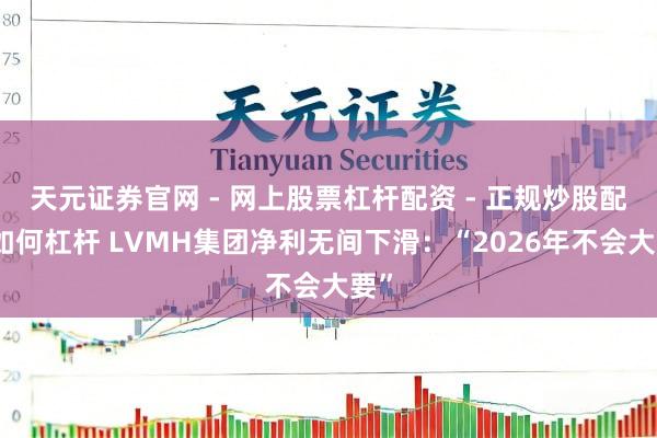 天元证券官网 - 网上股票杠杆配资 - 正规炒股配资如何杠杆 LVMH集团净利无间下滑：“2026年不会大要”