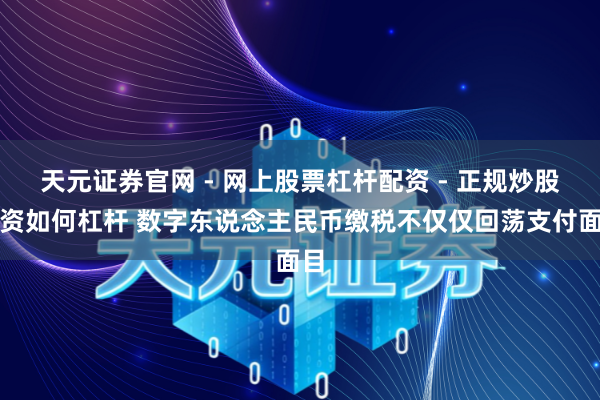 天元证券官网 - 网上股票杠杆配资 - 正规炒股配资如何杠杆 数字东说念主民币缴税不仅仅回荡支付面目