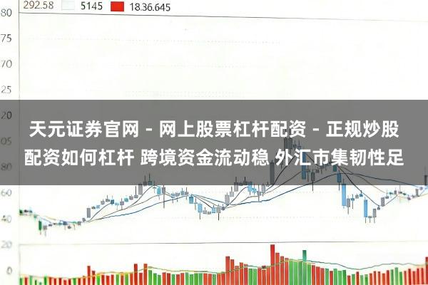 天元证券官网 - 网上股票杠杆配资 - 正规炒股配资如何杠杆 跨境资金流动稳 外汇市集韧性足