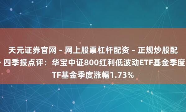 天元证券官网 - 网上股票杠杆配资 - 正规炒股配资如何杠杆 四季报点评：华宝中证800红利低波动ETF基金季度涨幅1.73%