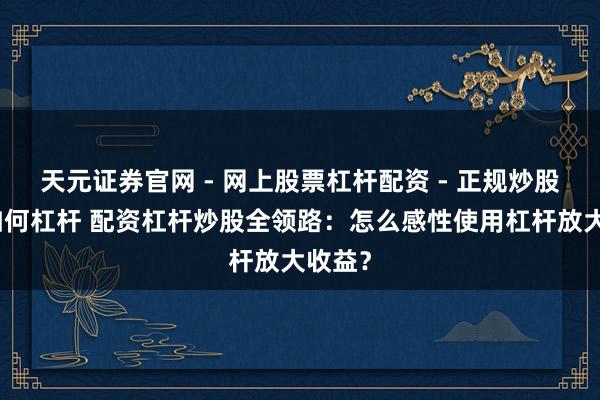 天元证券官网 - 网上股票杠杆配资 - 正规炒股配资如何杠杆 配资杠杆炒股全领路：怎么感性使用杠杆放大收益？