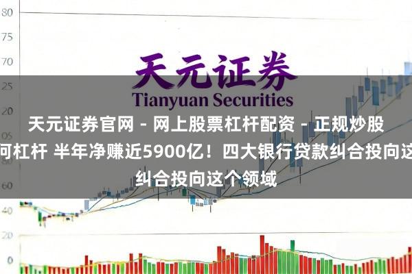 天元证券官网 - 网上股票杠杆配资 - 正规炒股配资如何杠杆 半年净赚近5900亿！四大银行贷款纠合投向这个领域