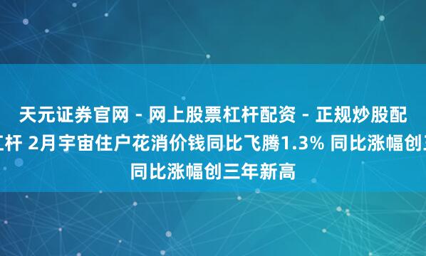 天元证券官网 - 网上股票杠杆配资 - 正规炒股配资如何杠杆 2月宇宙住户花消价钱同比飞腾1.3% 同比涨幅创三年新高