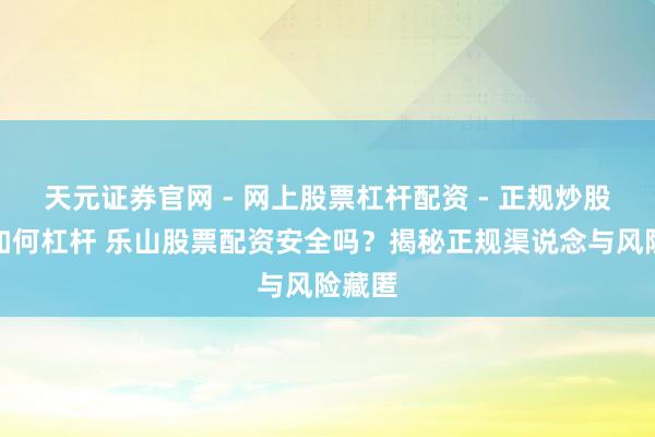 天元证券官网 - 网上股票杠杆配资 - 正规炒股配资如何杠杆 乐山股票配资安全吗？揭秘正规渠说念与风险藏匿