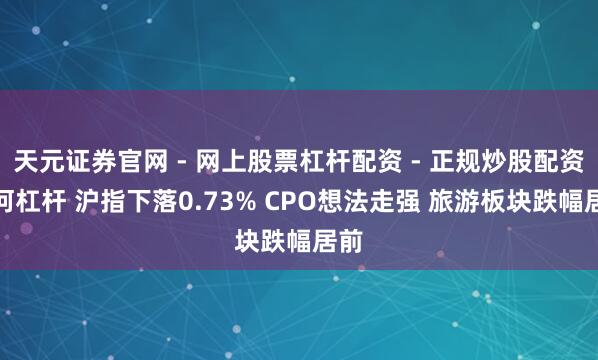 天元证券官网 - 网上股票杠杆配资 - 正规炒股配资如何杠杆 沪指下落0.73% CPO想法走强 旅游板块跌幅居前