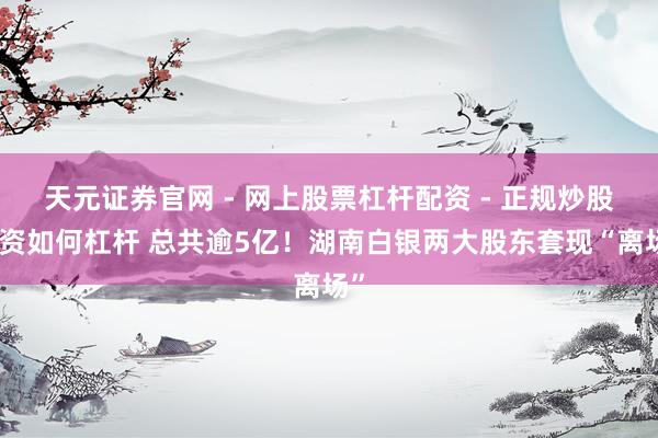 天元证券官网 - 网上股票杠杆配资 - 正规炒股配资如何杠杆 总共逾5亿！湖南白银两大股东套现“离场”